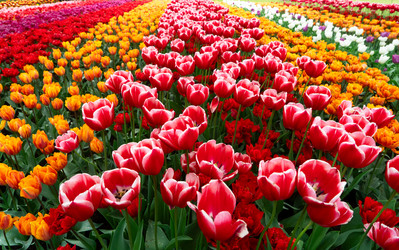 Similar image 22232822