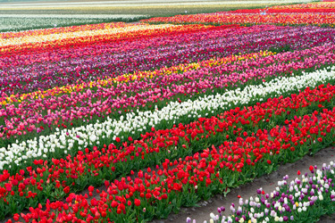 Similar image 22232839