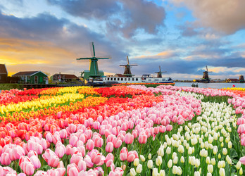 Similar image 22232844