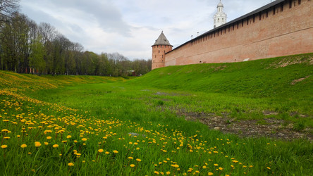 Similar image 22222446