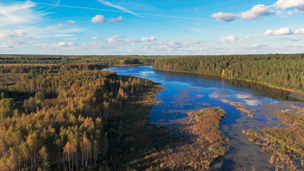 Similar image 22223259