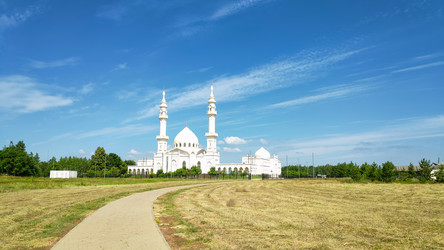 Similar image 22223302