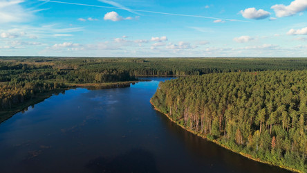 Similar image 22223303