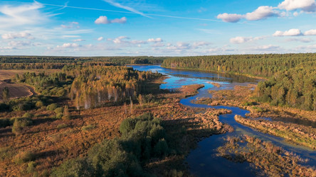 Similar image 22223306