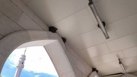 Similar image 22223312