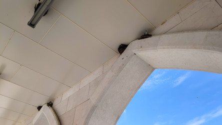 Similar image 22223313