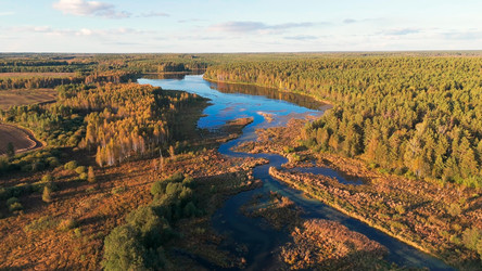 Similar image 22223315