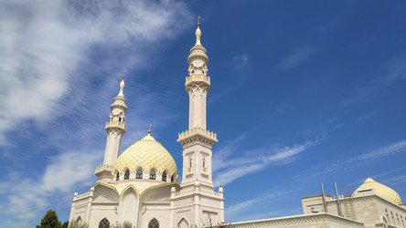 Similar image 22223320