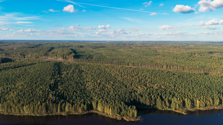 Similar image 22223329