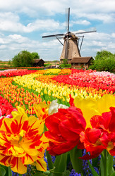 Similar image 22232604