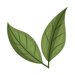 Similar image 22225967