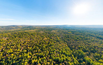 Similar image 22223341