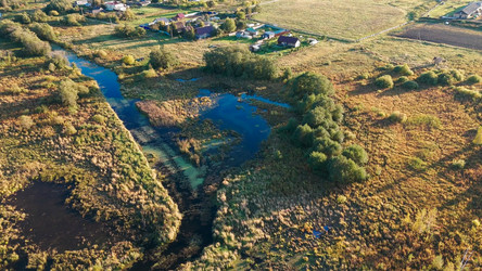 Similar image 22223343