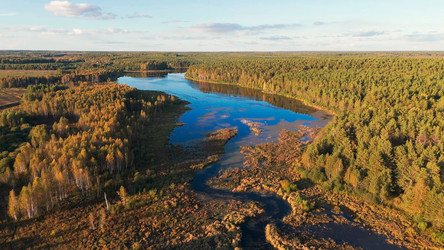 Similar image 22223344