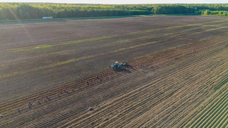 Similar image 22223365