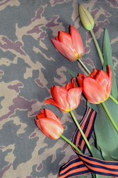 Similar image 22219253