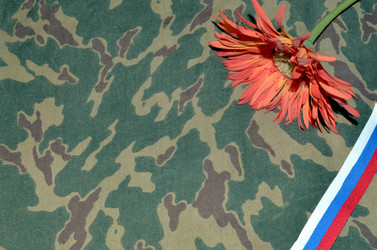 Similar image 22219256