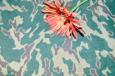 Similar image 22219262