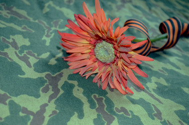 Similar image 22219263