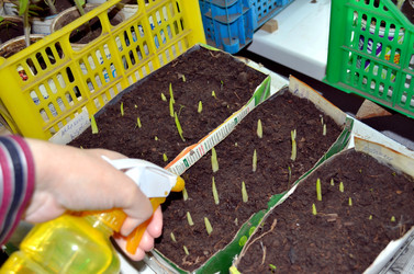 Similar image 22219264