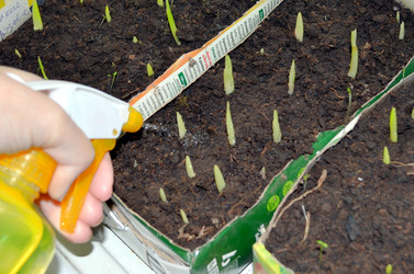 Similar image 22219267