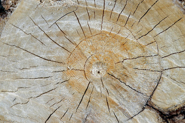 Similar image 22219268