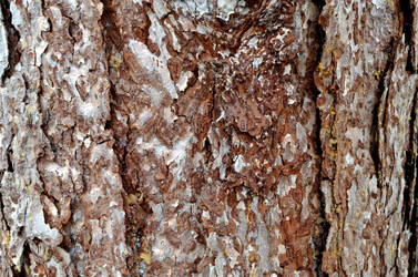 Similar image 22219271