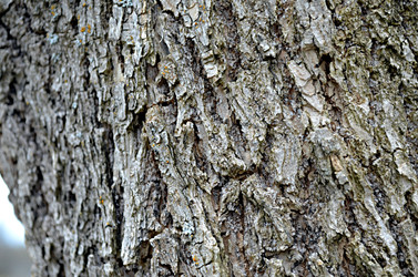 Similar image 22219274