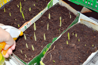 Similar image 22219275