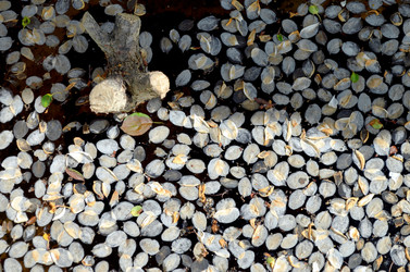 Similar image 22219276