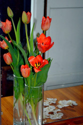 Similar image 22219278