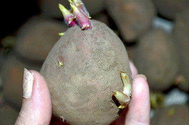 Similar image 22219279