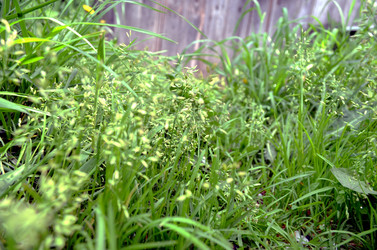 Similar image 22219285