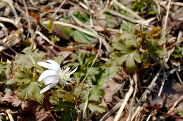 Similar image 22219288