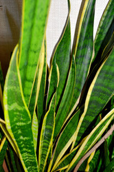 Similar image 22219289