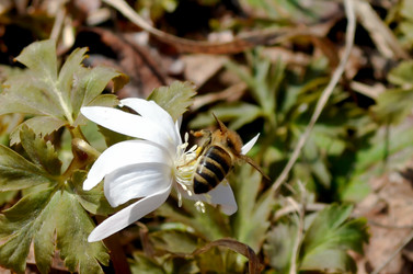 Similar image 22219290