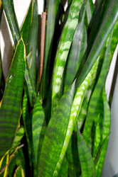 Similar image 22219292