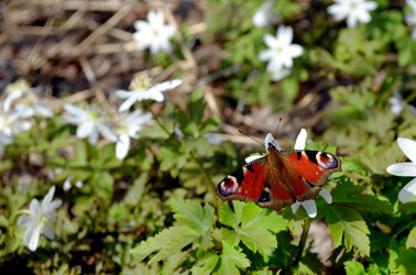 Similar image 22219297