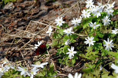 Similar image 22219303