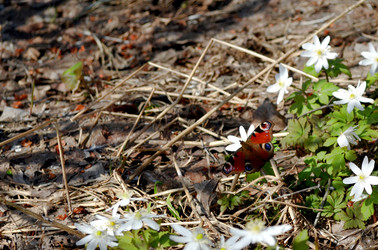 Similar image 22219306