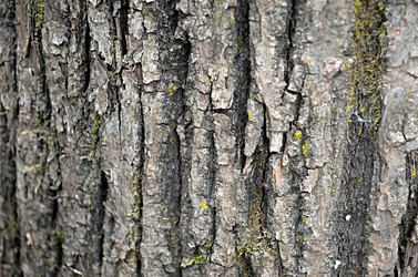 Similar image 22219307