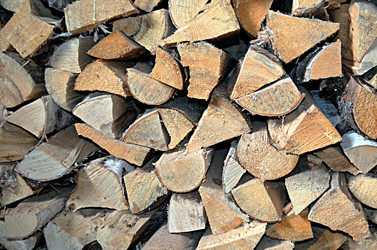 Similar image 22219310