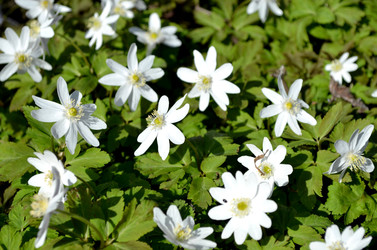 Similar image 22219311