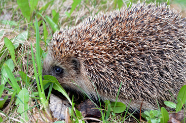 Similar image 22219312