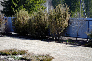 Similar image 22219314