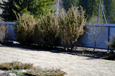 Similar image 22219317