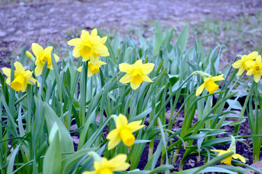 Similar image 22219318