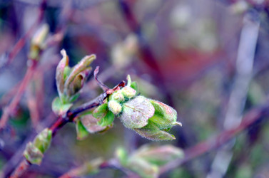 Similar image 22219320