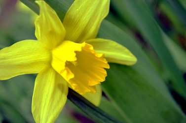 Similar image 22219321