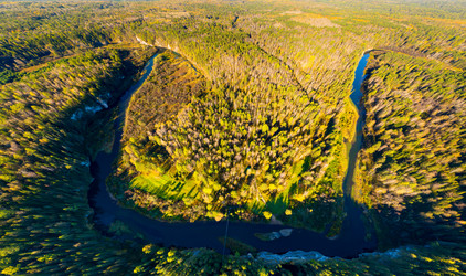 Similar image 22223366